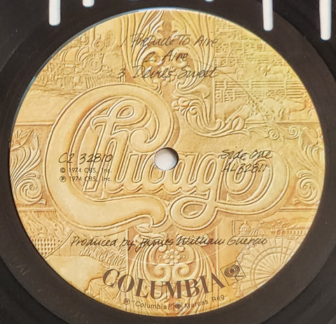 Chicago Skyline - Chicago Band Vinyl Record Art