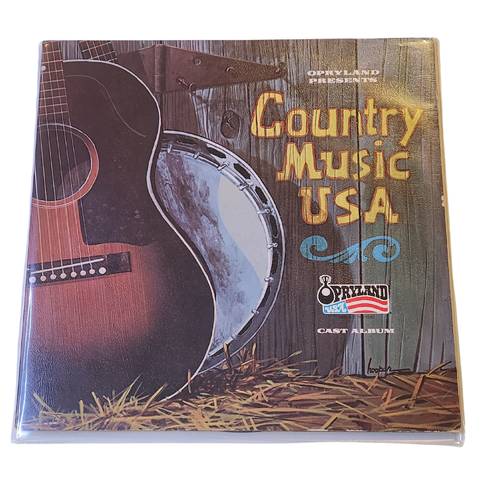 Nashville Skyline Vinyl Record Wall Art | Limited Edition | Handcrafted from Opryland Country Music USA Album