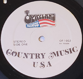 Nashville Skyline Vinyl Record Wall Art | Limited Edition | Handcrafted from Opryland Country Music USA Album