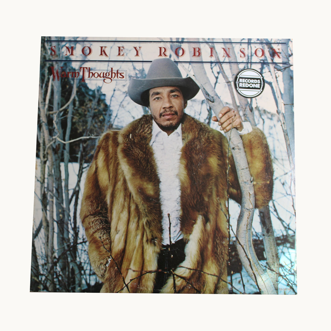 Michigan 2-Piece Vinyl Record Wall Art | Limited Edition | Smokey Robinson Warm Thoughts